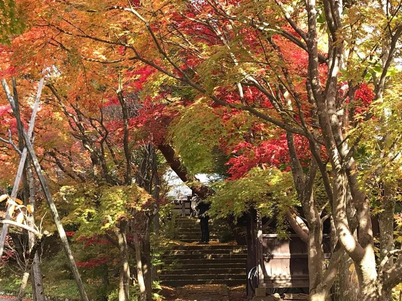 Takayama Ninja House image