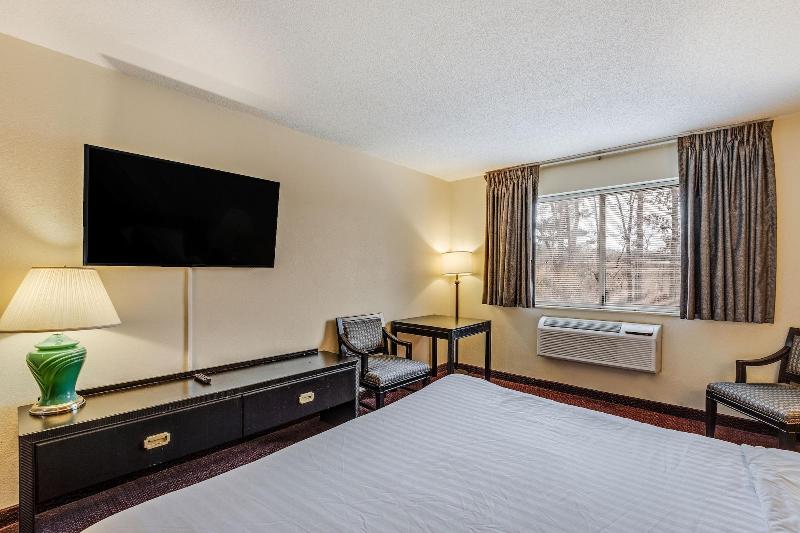Oyo Hotel Whitehall Mi image