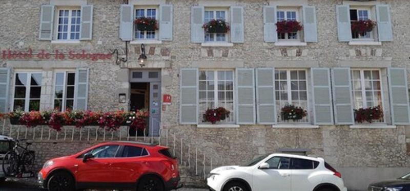Hôtel de la Sologne image