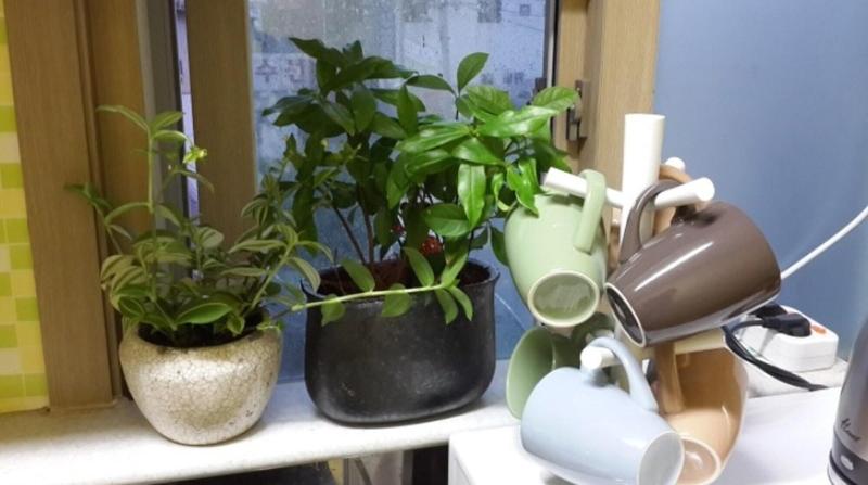Dana Haru Guesthouse image
