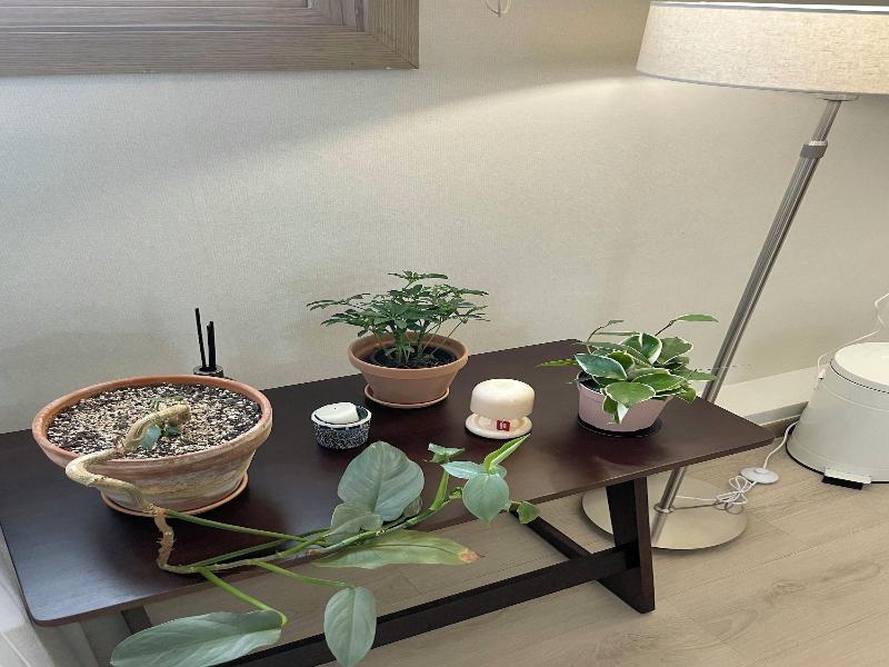 Dana Haru Guesthouse image
