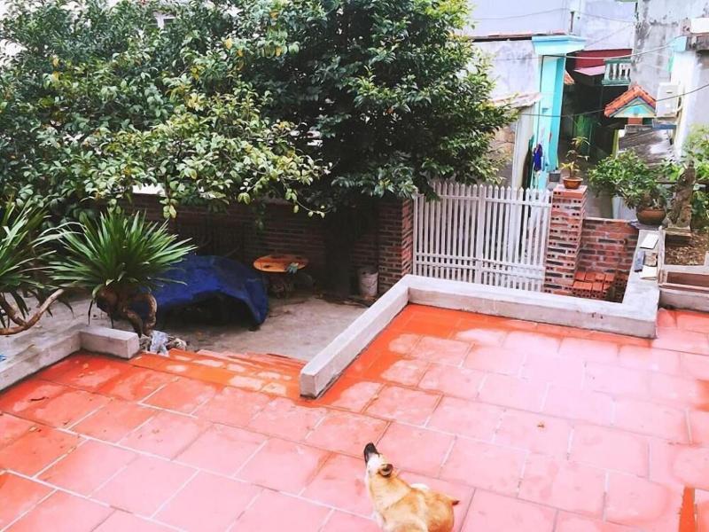 D'Home Homestay Cat Ba