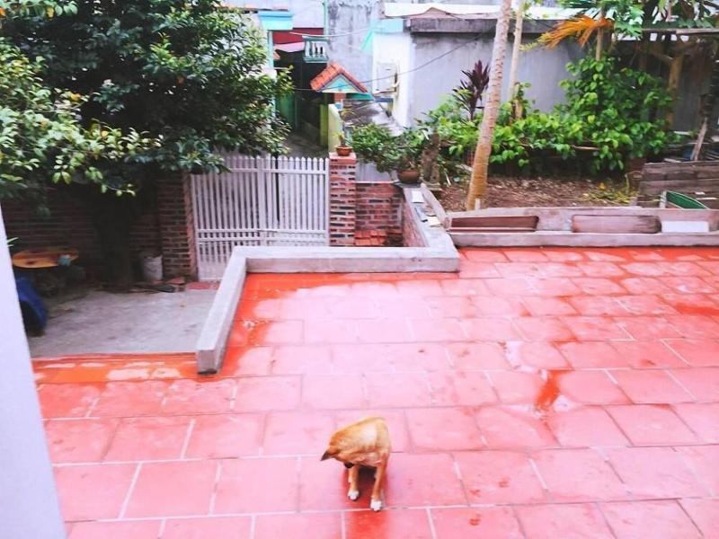 D'Home Homestay Cat Ba