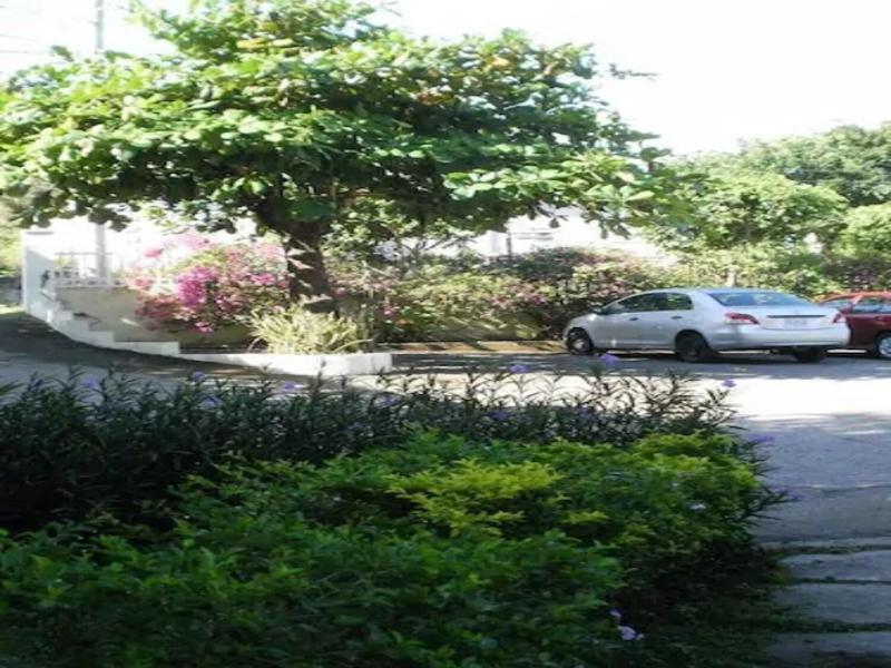 Pineapple Court Hotel image