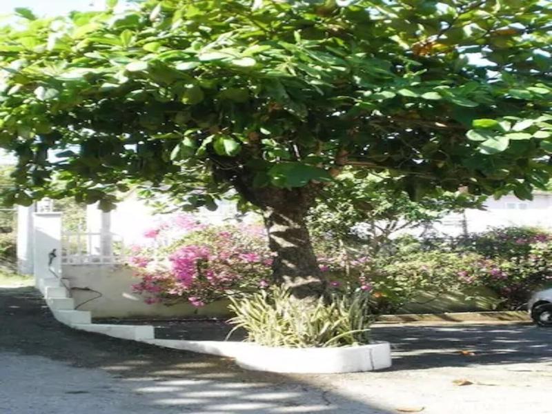 Pineapple Court Hotel image