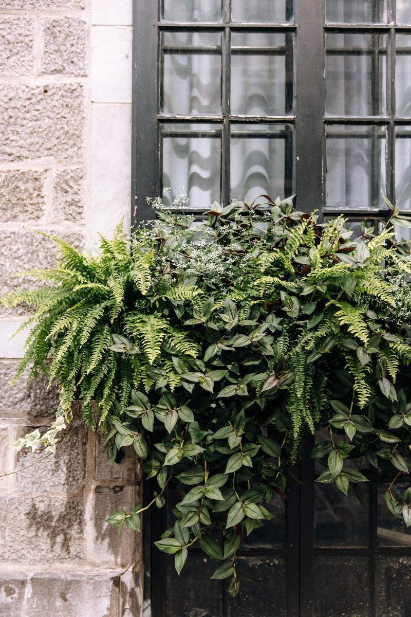 Maison Sainte-Thérèse image