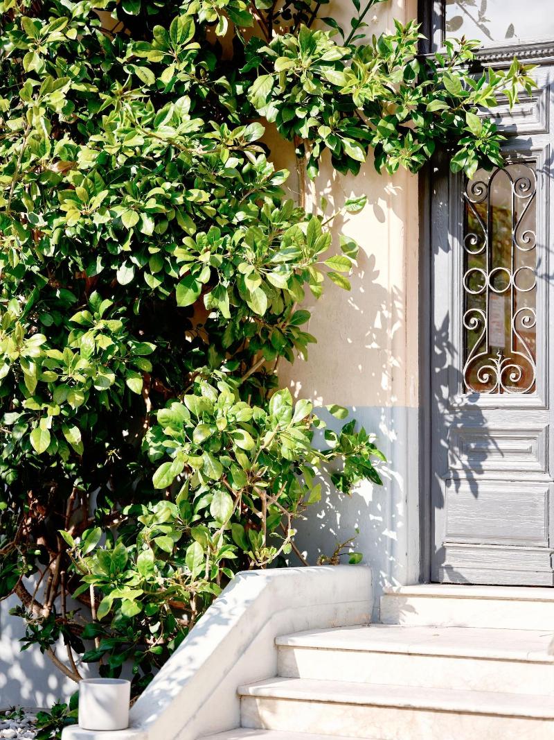 Hôtel Lemon image