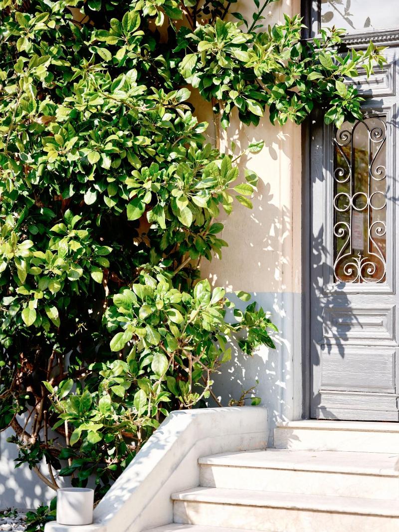 Hôtel Lemon image