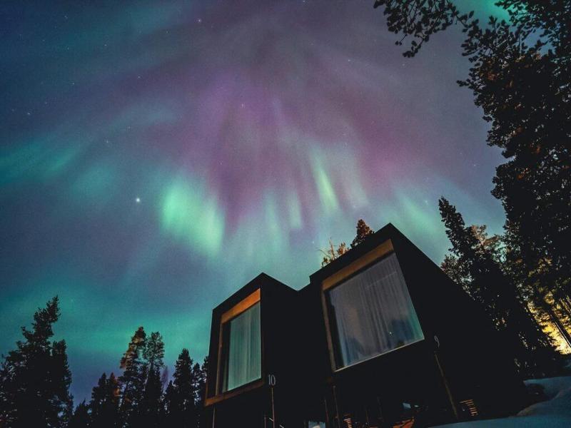 Arctic Treehouse Hotel image