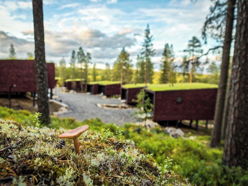 Arctic Treehouse Hotel image