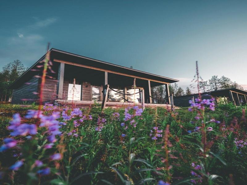 Arctic Treehouse Hotel image