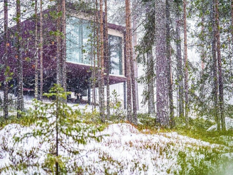 Arctic Treehouse Hotel image