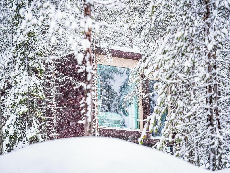 Arctic Treehouse Hotel image