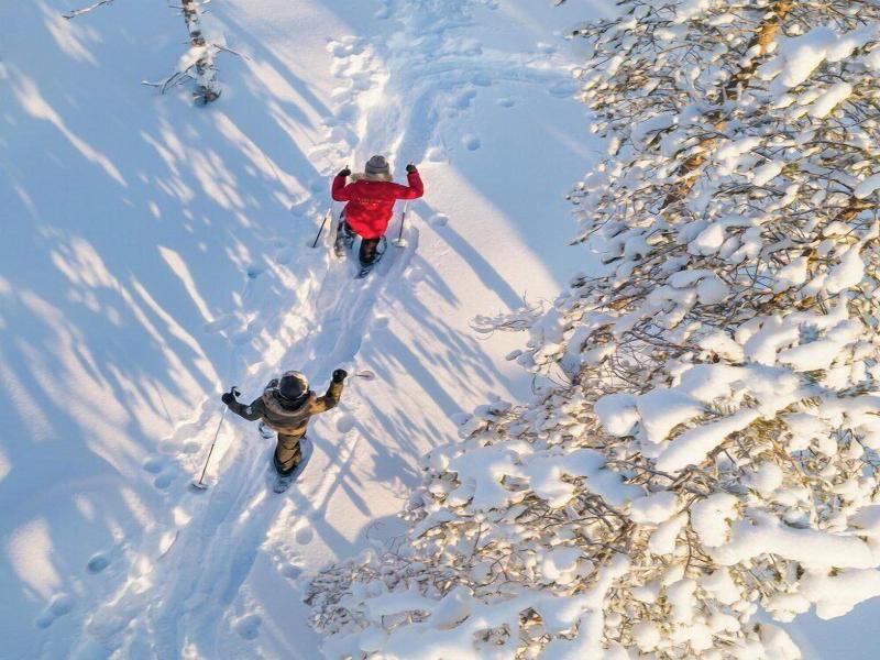Arctic Treehouse Hotel image