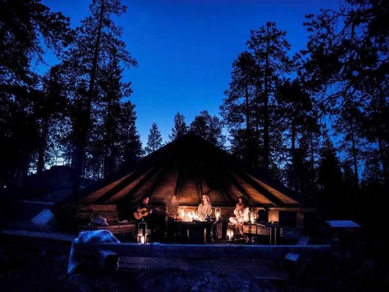 Arctic Treehouse Hotel image