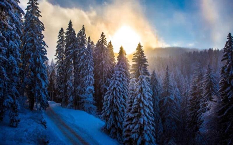 Sunny Hills Ski