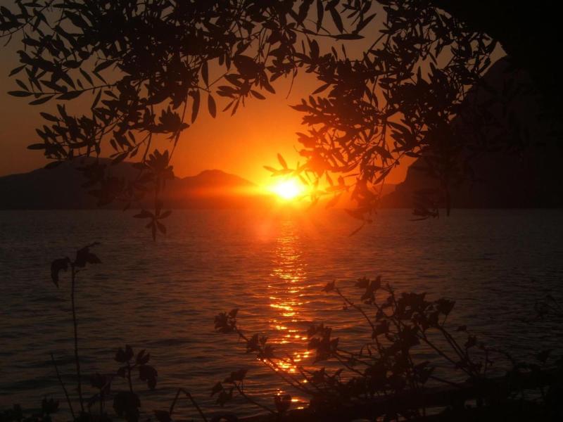 La Foresta image