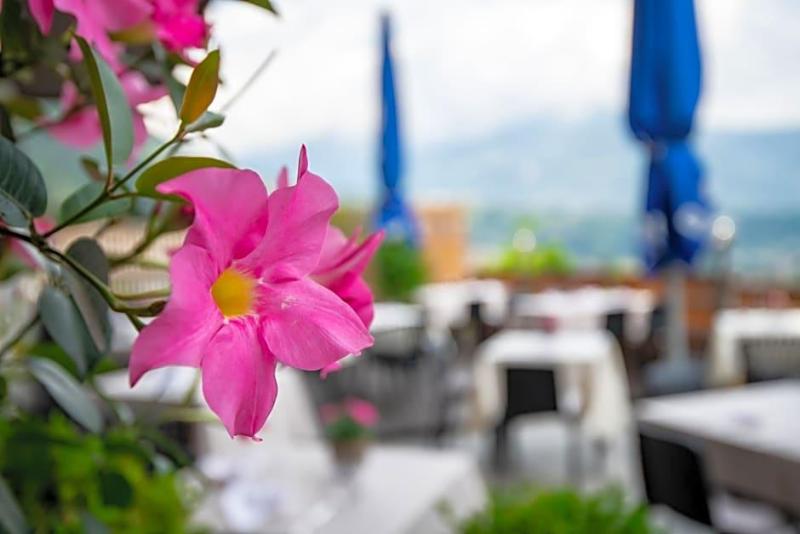 Hotel Residence Restaurant Mavie image