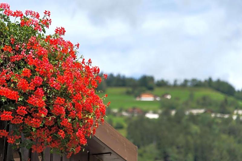 Hotel Mirabell image