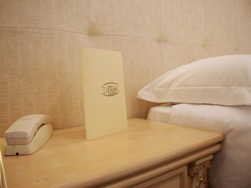 Hotel Derby image