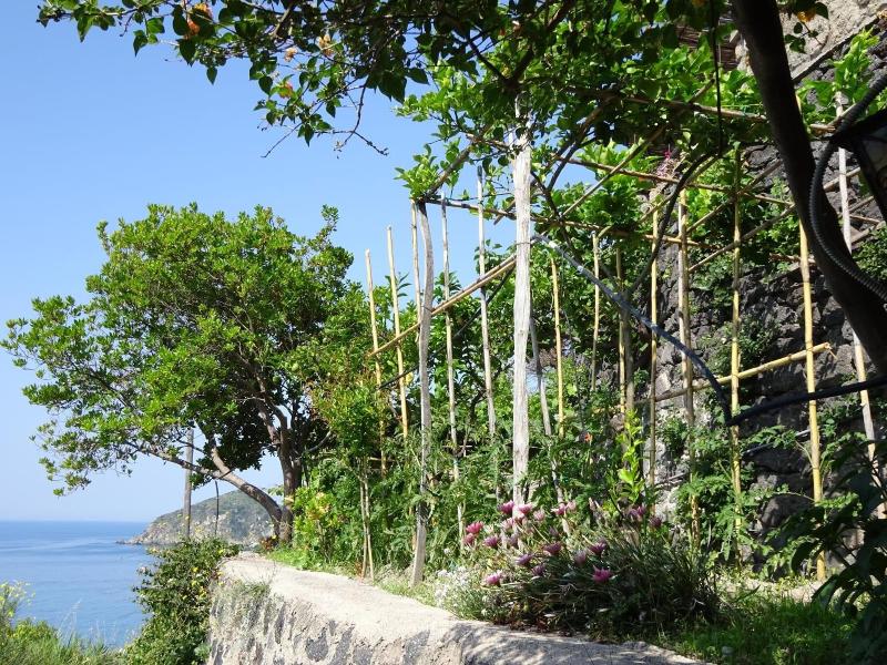 Casa Antonio image