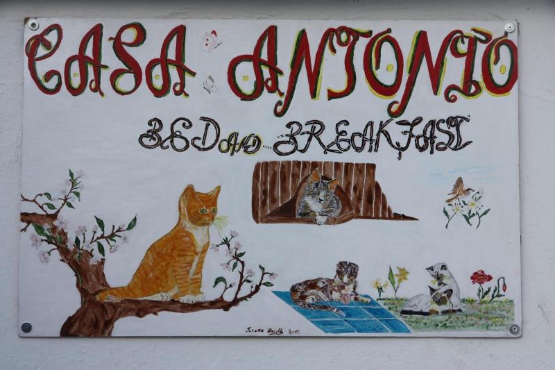 Casa Antonio image