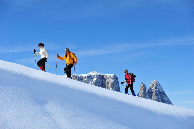 Artnatur Dolomites image