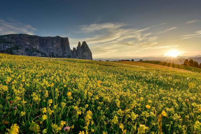 Artnatur Dolomites image