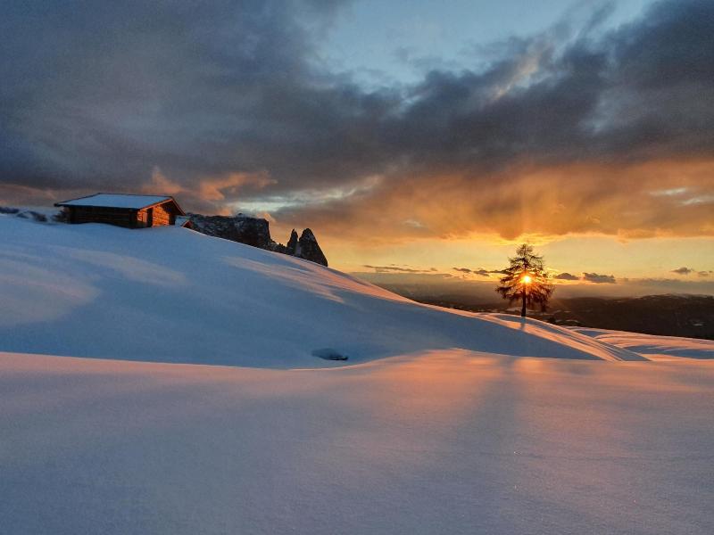 Artnatur Dolomites image