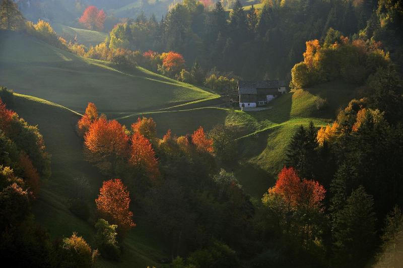 Artnatur Dolomites image