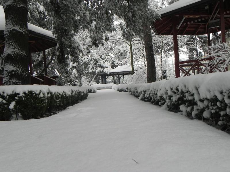 Hotel Baneasa Parc image
