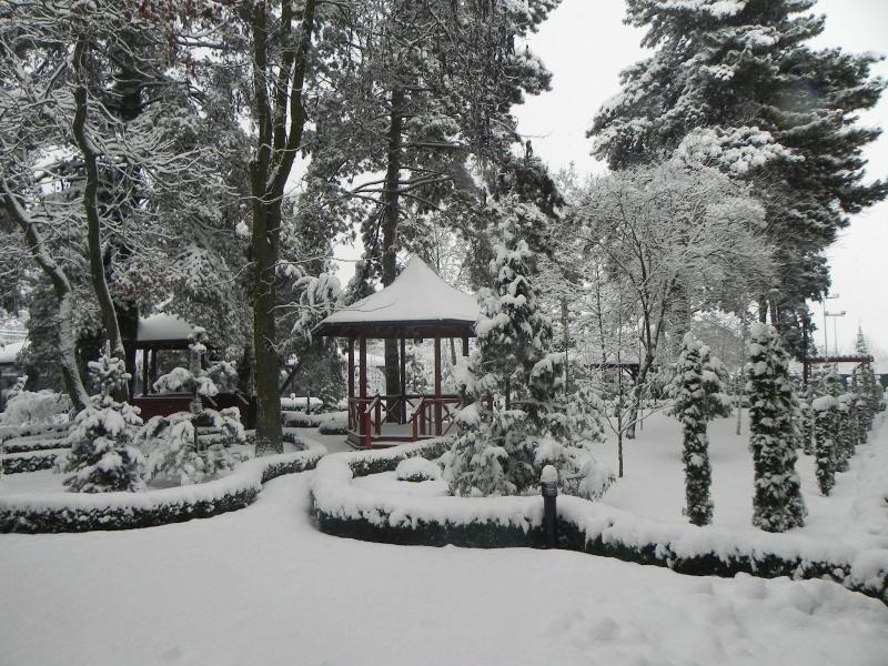 Hotel Baneasa Parc image