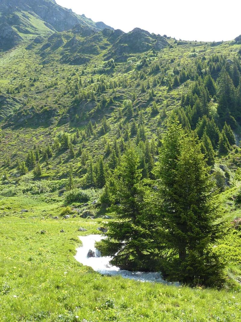 La Cordée des Alpes image