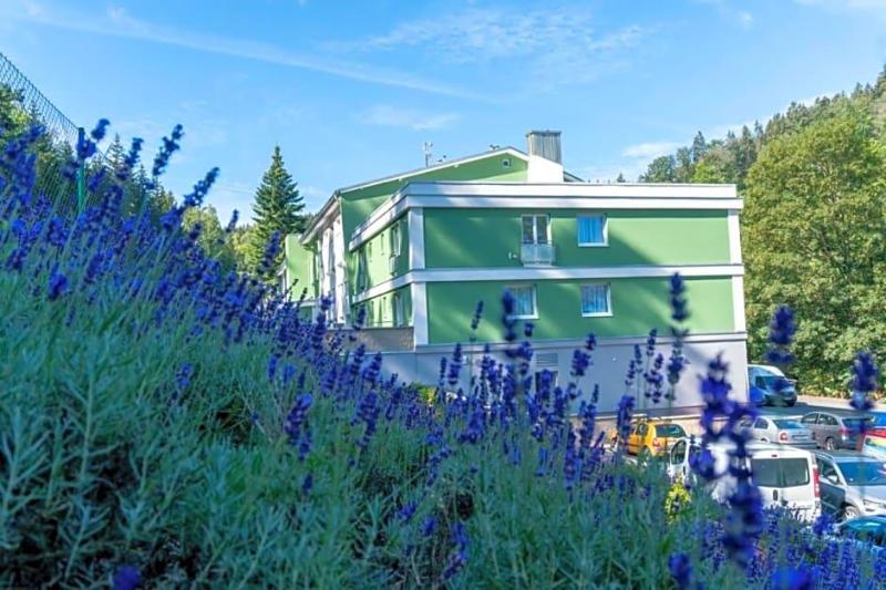 Hotel Green Paradise image