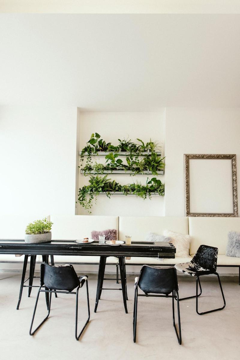 Wake Up Wellness Hostel image