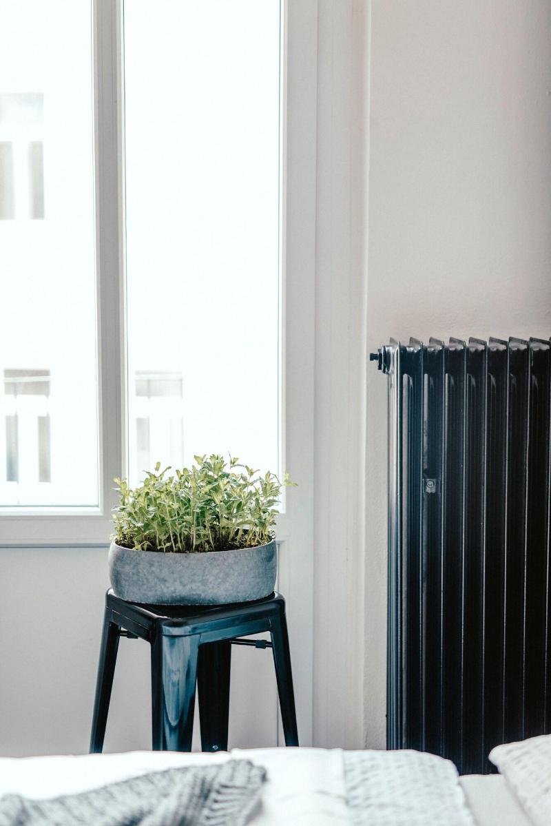 Wake Up Wellness Hostel image