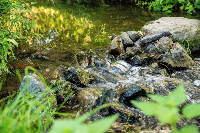 Weinhotel Klostermühle image