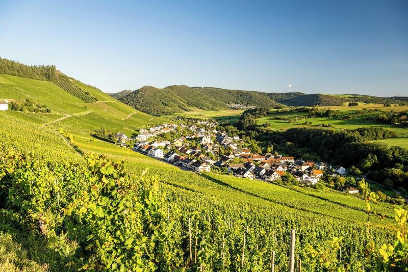 Weinhotel Klostermühle image