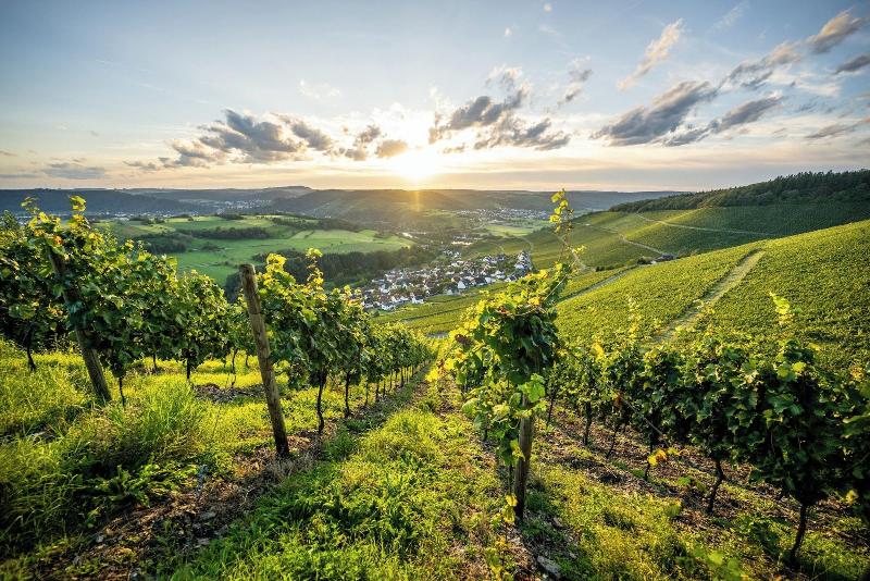 Weinhotel Klostermühle image