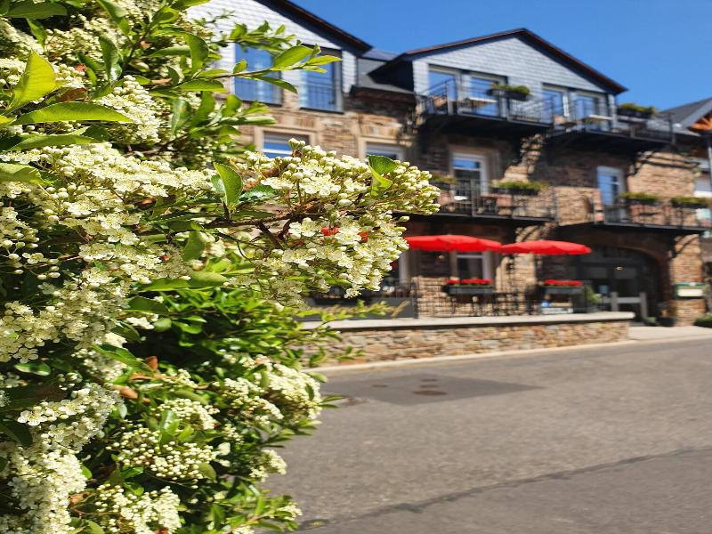 Landgasthof Winzerscheune image