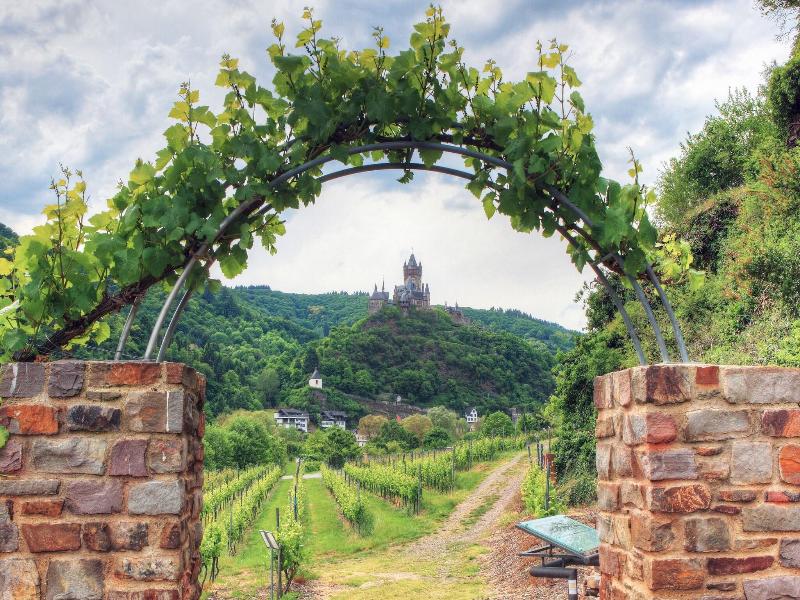 Landgasthof Winzerscheune image