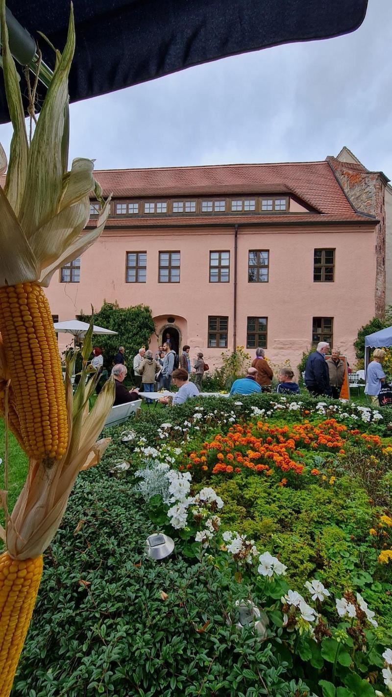 Cranach Herberge image