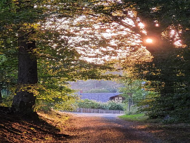 Landgasthof Fuchsbau image