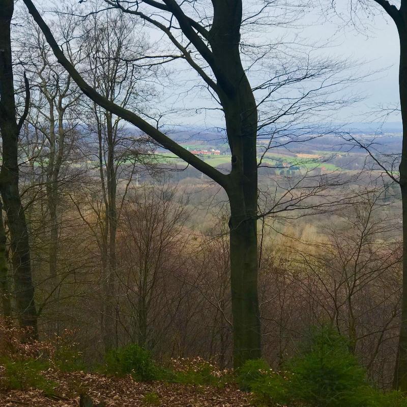 Waldhotel Peter Aufm Berge image