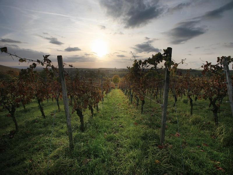 Wörners Schloss Weingut & Wellness-Hotel image