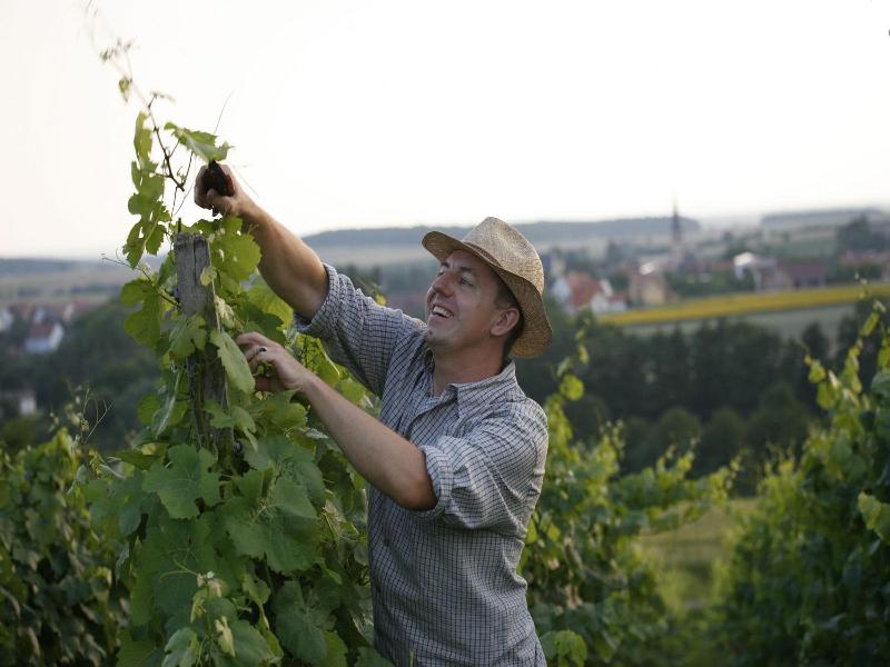 Wörners Schloss Weingut & Wellness-Hotel image