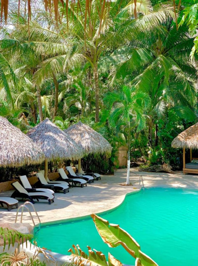 Banana Beach Bungalows image