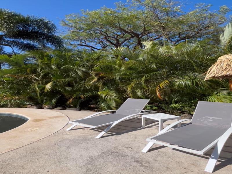 Mikado Natural Lodge image