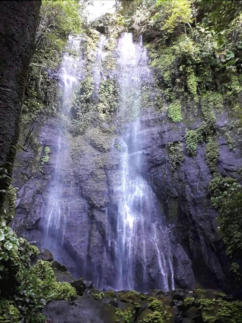 Cabañas Cascadas Encantadas — general view