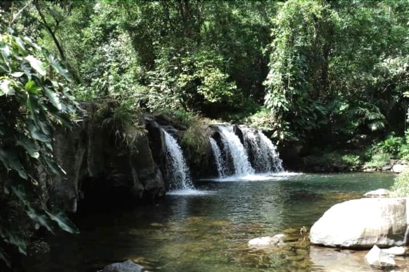 Cabañas Cascadas Encantadas — general view